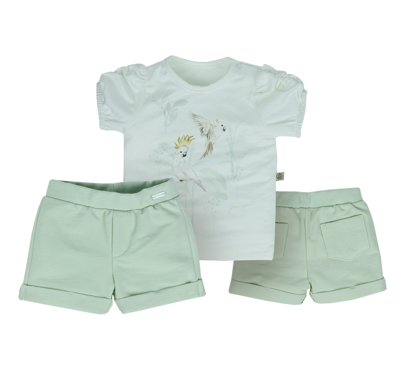 Conjunto Florest Verde Exotic - Grow Up